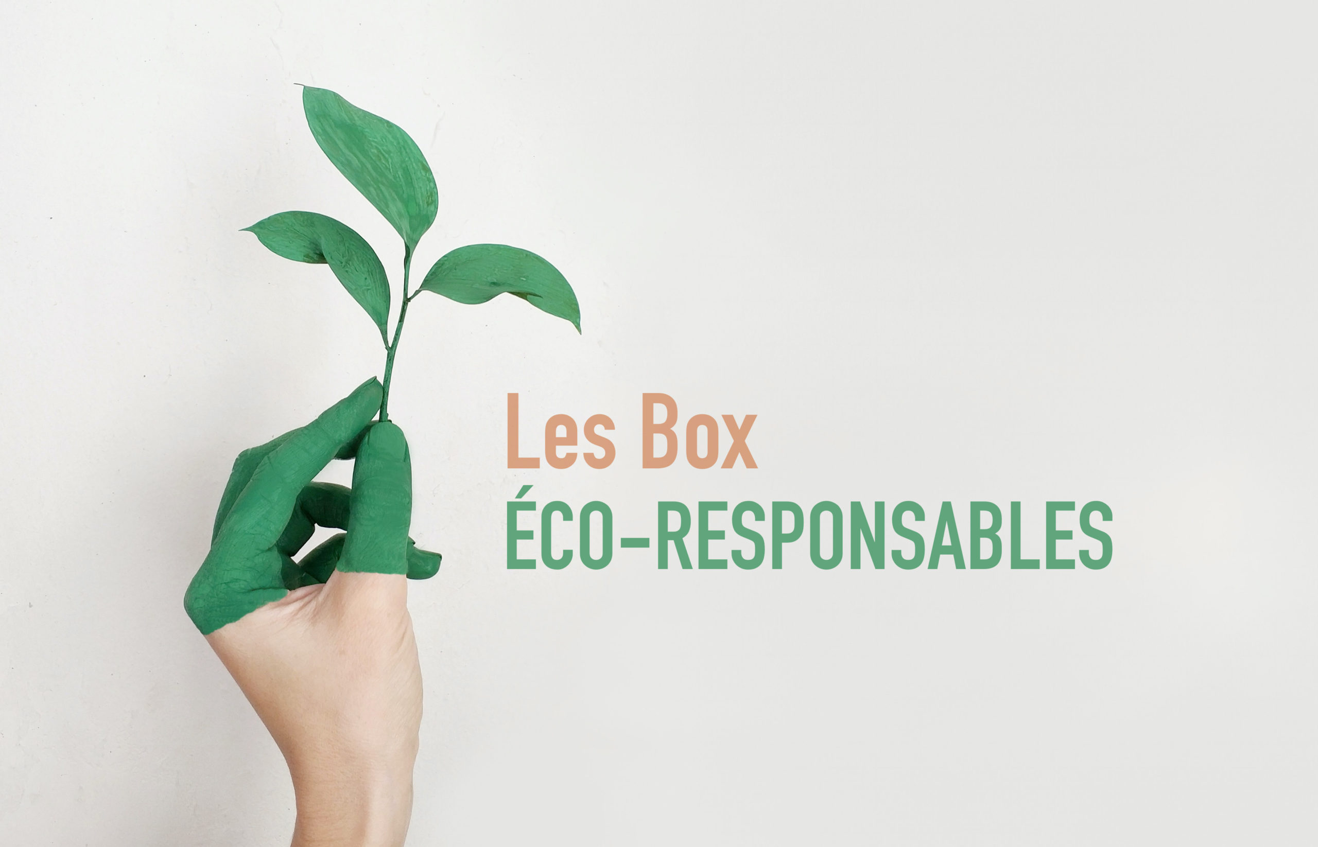 le top des box eco-responsables